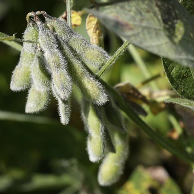 Weedkiller manufacturer seeks lawmakers' help to squelch claims it failed to warn about cancer
